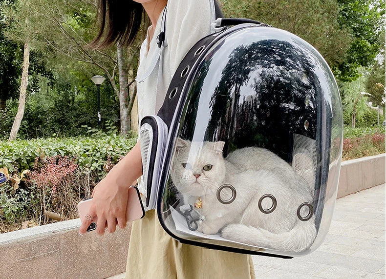 🇫🇷 Sac à dos capsule transparent pour chat et petit chien – Sac de transport respirant et portable  🇬🇧 Transparent Capsule Pet Backpack – Breathable and portable carrier for cats & small dogs
