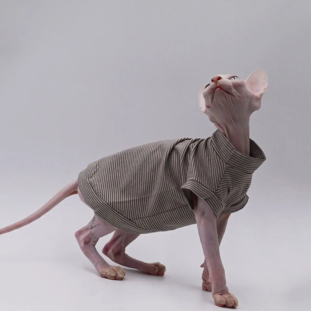 🇫🇷 Gilet en Coton pour Chat Sphynx – Rayures Marron, Manches Courtes, Vêtement Doux pour Devon Rex & Chatons (Printemps/Été) | 🇬🇧 Fashion Cotton Vest for Sphynx Cat – Brown Stripes, Short Sleeves Soft Coat for Devon Rex & Kittens (Spring/Summer)
