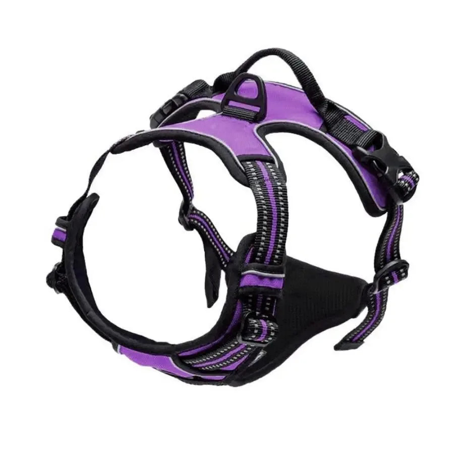 🇫🇷 Colliers, harnais, laisses et accessoires pour chiens – Ensemble cuir pour chiots, petits et moyens chiens. 🇬🇧 Dog collars, harnesses, leashes & accessories – Leather set for puppies, small & medium dogs.