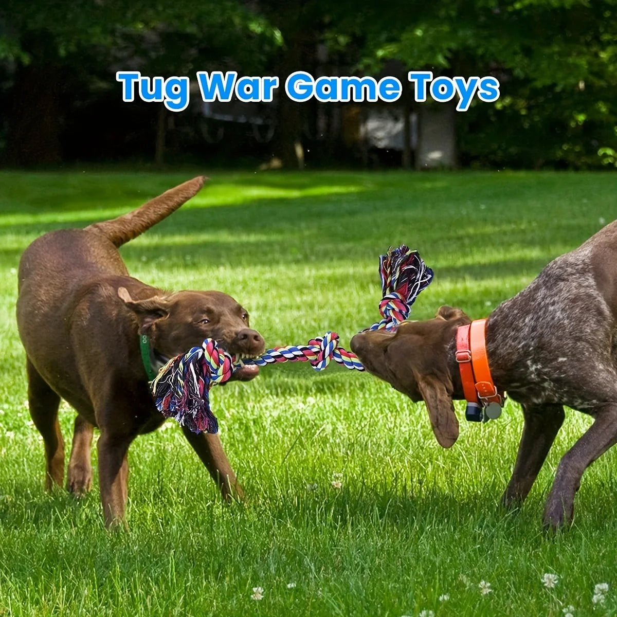 🇫🇷 Jouet à nœud résistant pour chiens moyens/grands – Mâchage & tir à la corde. 🇬🇧 Durable knot toy for medium/large dogs – Chew & tug.