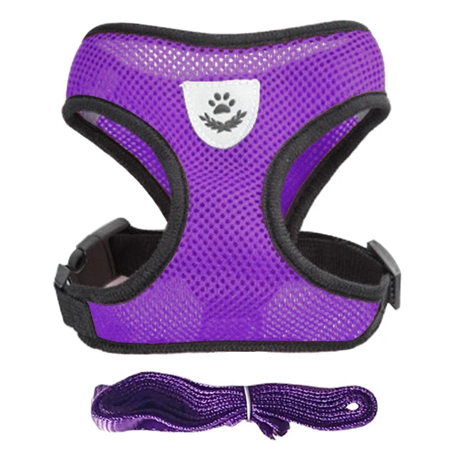 🇫🇷 Harnais pour chat avec laisse – Gilet réglable en maille respirante pour chats et petits chiens  🇬🇧 Cat Harness with Leash – Adjustable mesh vest for cats and small dogs
