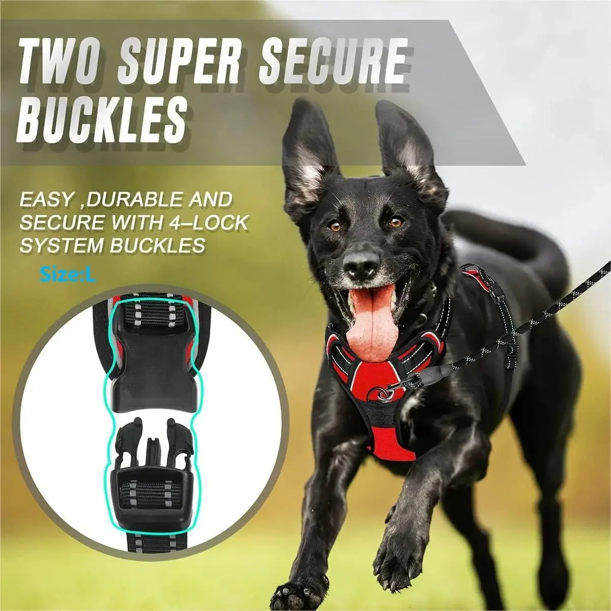 🇫🇷 Colliers, harnais, laisses et accessoires pour chiens – Ensemble cuir pour chiots, petits et moyens chiens. 🇬🇧 Dog collars, harnesses, leashes & accessories – Leather set for puppies, small & medium dogs.