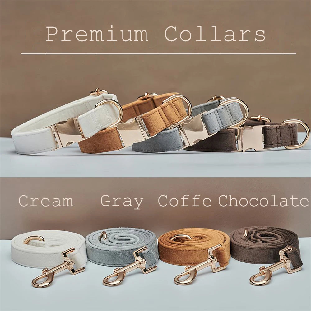 🇫🇷 Collier pour chien en velours personnalisable – Plaque gravée avec nom, boucle métal, laisse assortie,  idéal pour chiot   🇬🇧 Velvet Personalized Dog Collar – Engraved Name Plate, Metal Buckle, Matching Leash, Perfect Puppy or Wedding Gift