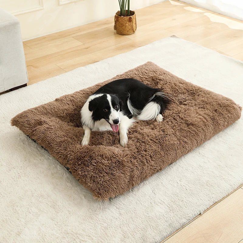 🇫🇷 Lit pour chien ultra doux – Maison en peluche longue, coussin confortable, panier ou canapé pour chiens, chats et petits animaux 🇬🇧 Soft Plush Dog Bed – Cozy House, Cushion or Sofa for Dogs, Cats & Small Pets, Ideal for Rest & Sleep