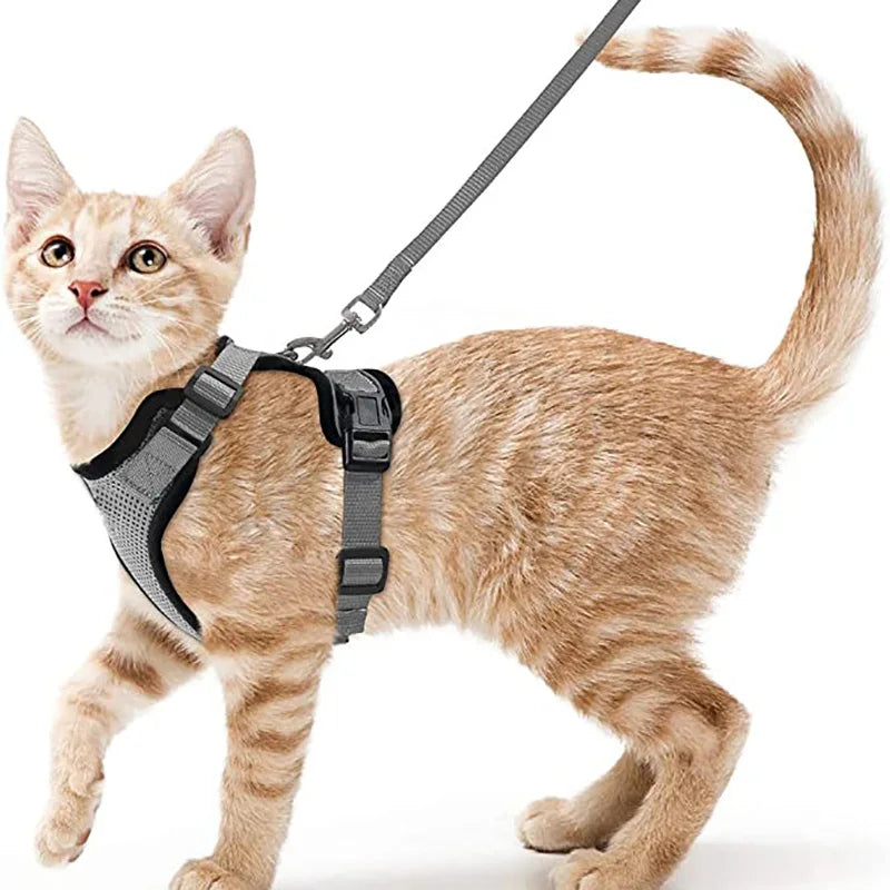 🇫🇷 Harnais pour chat avec laisse – Gilet réglable antidérapage, confortable et sécurisé pour la marche en extérieur 🇬🇧 Cat Harness and Leash – Escape-Proof Adjustable Soft Vest for Safe Outdoor Walks