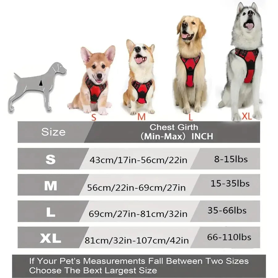 🇫🇷 Colliers, harnais, laisses et accessoires pour chiens – Ensemble cuir pour chiots, petits et moyens chiens. 🇬🇧 Dog collars, harnesses, leashes & accessories – Leather set for puppies, small & medium dogs.