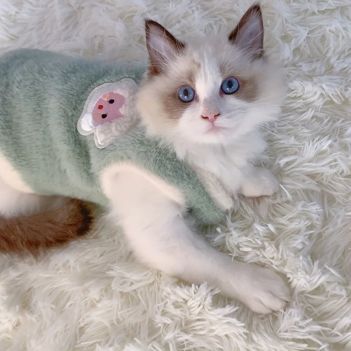 🇫🇷 Vêtements d’hiver pour chatons – Gilets chauds ou rafraîchissants pour petits chats et chiens, accessoires doux et confortables 🇬🇧 Winter Clothes for Kittens – Soft Warm or Cooling Vests for Cats & Small Dogs, Comfortable Pet Apparel