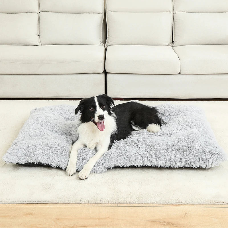 🇫🇷 Lit pour chien ultra doux – Maison en peluche longue, coussin confortable, panier ou canapé pour chiens, chats et petits animaux 🇬🇧 Soft Plush Dog Bed – Cozy House, Cushion or Sofa for Dogs, Cats & Small Pets, Ideal for Rest & Sleep