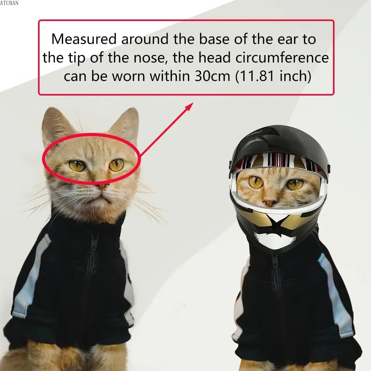 🇫🇷 Français : Casque de protection pour animaux – Mini casque pour chats et chiens, accessoire photo ou sortie  🇬🇧 English : DIY Pet Helmet – Mini Safety Hat for Cats & Dogs, Outdoor or Photo Prop