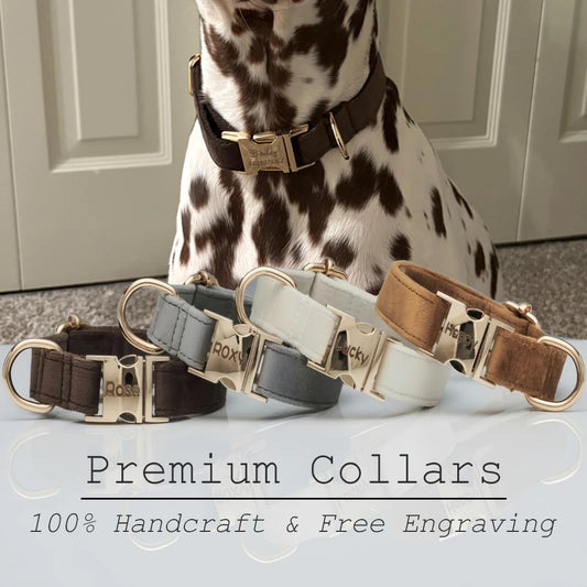 🇫🇷 Collier pour chien en velours personnalisable – Plaque gravée avec nom, boucle métal, laisse assortie,  idéal pour chiot   🇬🇧 Velvet Personalized Dog Collar – Engraved Name Plate, Metal Buckle, Matching Leash, Perfect Puppy or Wedding Gift