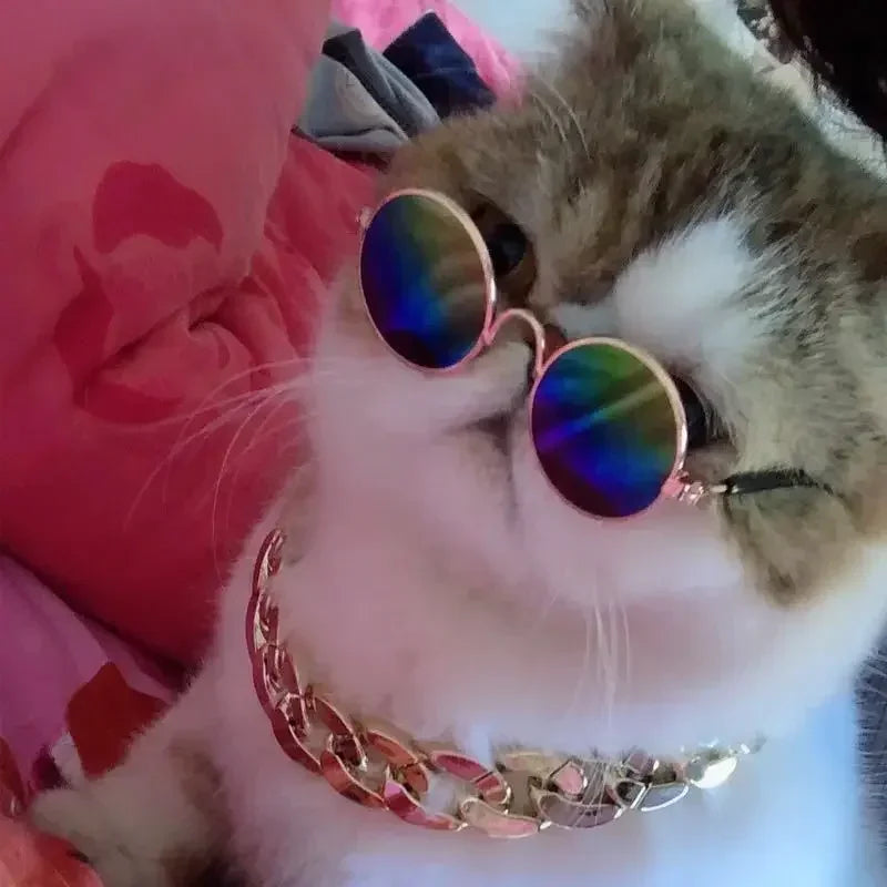 🇫🇷 Français : Lunettes de soleil pour chats et petits chiens – Protection UV, accessoire photo et cosplay  🇬🇧 English : Cat & Small Dog Sunglasses – UV Protection, Cute Cosplay & Photo Prop