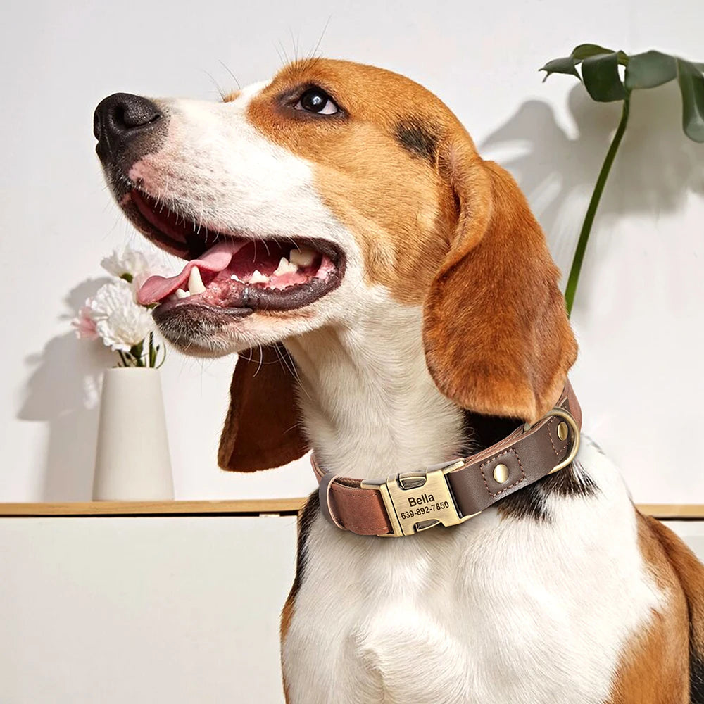 🇫🇷 Collier & laisse personnalisés en cuir PU, médaille gravée offerte. Pour petits & grands chiens (ex : carlin, labrador). 🇬🇧 PU leather custom collar & leash with free engraved tag. For small & large dogs (e.g. pug, labrador).