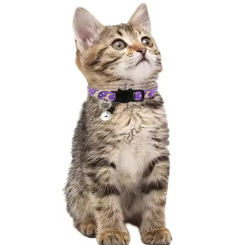🇫🇷 Collier pour chat en velours avec cœur & grelot – Élastique, réglable et sécurisé, 8 couleurs, convient aussi aux petits chiens  🇬🇧 Velvet Cat Collar with Heart & Bell – Safety elastic, adjustable, 8 colors, also fits small dogs