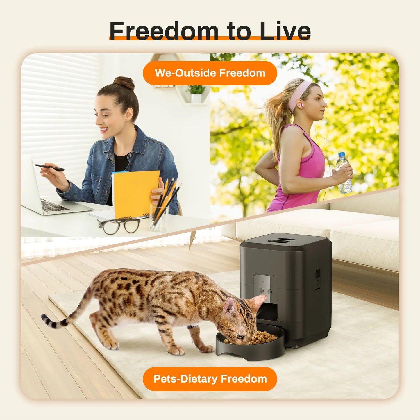 🇫🇷 🍽️ Nourriture programmée et lente – évite les excès ⏱️ Contrôle du temps – pour chiens et chats 🇬🇧 🍽️ Timed & slow feeding – avoids overeating ⏱️ Time control – for cats & dogs