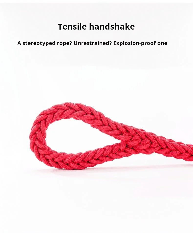 🇫🇷 Colliers confort & style pour chiens – élégants et durables. 🇬🇧 Stylish & comfy dog collars – elegant and durable.