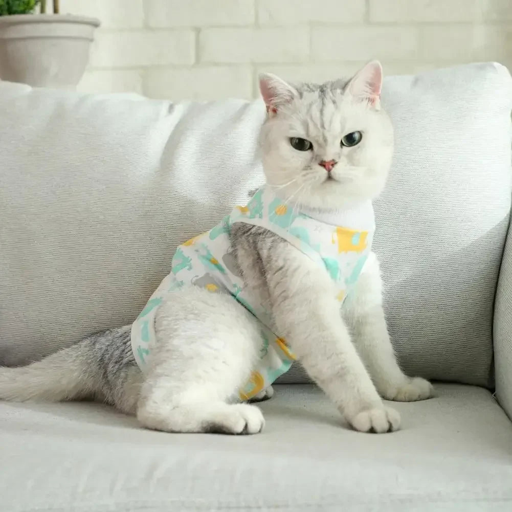 🇫🇷 Combinaison de récupération pour chat – Tenue post-opératoire & post-partum, douce et confortable | 🇬🇧 Pet Surgery Recovery Suit – Comfortable Cat Postpartum & Post-Surgery Shirt