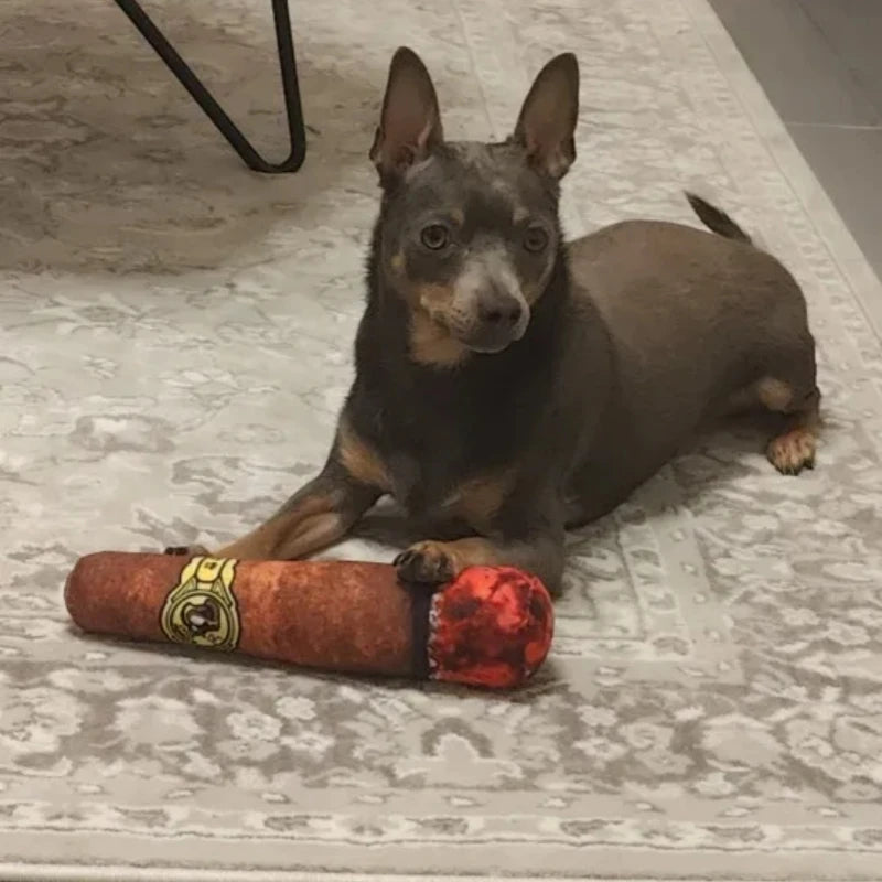 🇫🇷 Jouet cigare interactif pour chien – Peluche résistante avec couineur, idéal petits chiens, mâchage et jeu prolongé. 🇬🇧 Interactive cigar dog toy – Durable squeaky plush for small dogs, perfect for chewing and long play sessions.