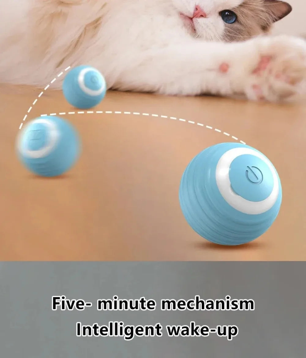 🇫🇷 Balle interactive intelligente pour chat – Jouet électronique automatique, roule toute seule et stimule l’instinct de chasse. 🇬🇧 Smart interactive cat ball – Automatic rolling electronic toy for indoor play & hunting fun.