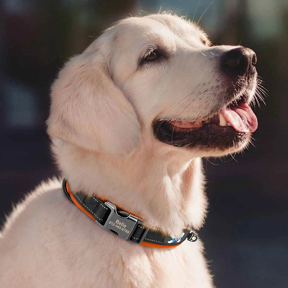 🇫🇷 Collier pour chien réfléchissant et personnalisé – Nylon gravé avec ID, rembourré et réglable pour petits, moyens et grands chiens  🇬🇧 Reflective Personalized Dog Collar – Engraved ID Nylon, Soft Padded & Adjustable for Small, Medium & Large Dogs