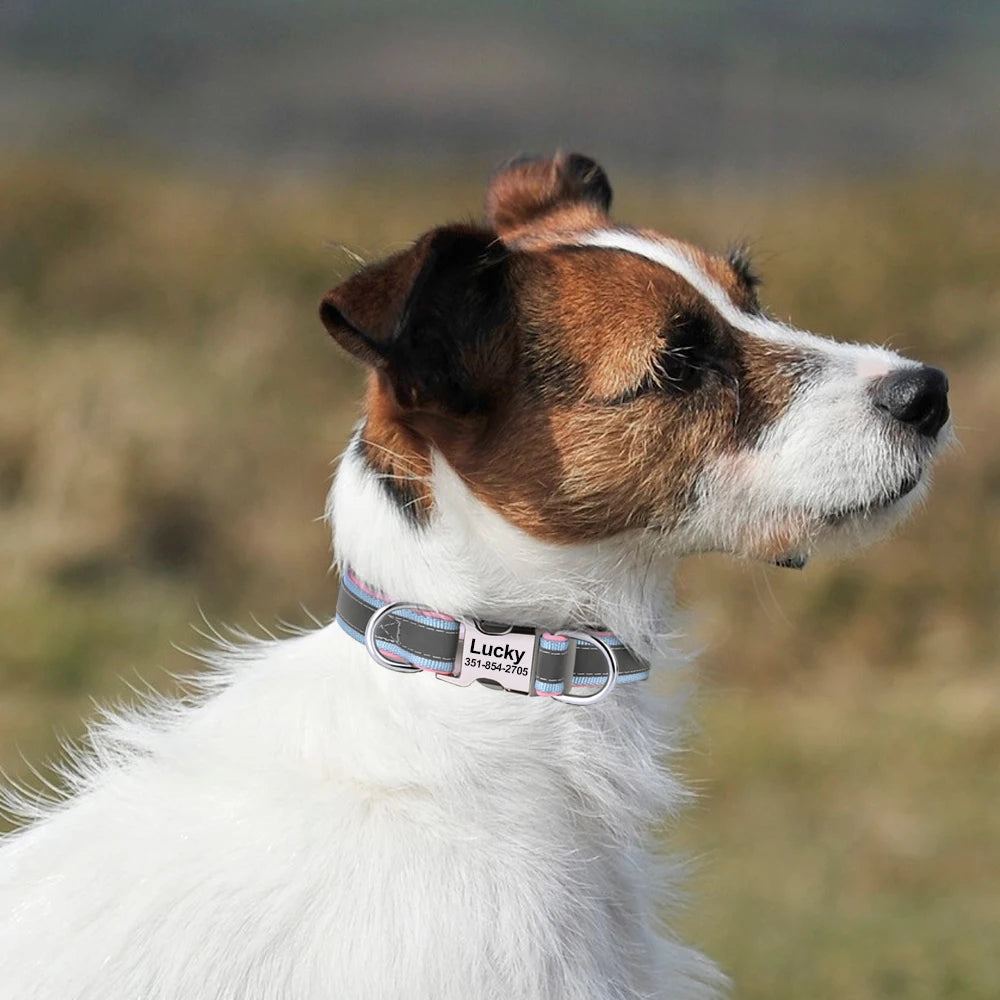 🇫🇷 Collier pour chien réfléchissant et personnalisé – Nylon gravé avec ID, rembourré et réglable pour petits, moyens et grands chiens  🇬🇧 Reflective Personalized Dog Collar – Engraved ID Nylon, Soft Padded & Adjustable for Small, Medium & Large Dogs