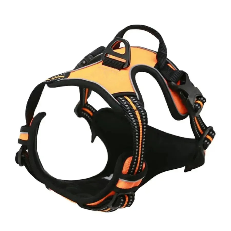 🇫🇷 Colliers, harnais, laisses et accessoires pour chiens – Ensemble cuir pour chiots, petits et moyens chiens. 🇬🇧 Dog collars, harnesses, leashes & accessories – Leather set for puppies, small & medium dogs.
