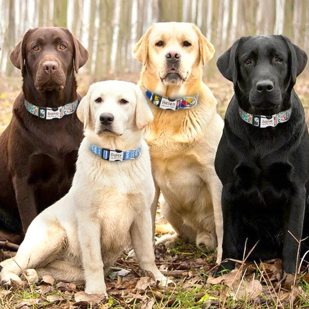🇫🇷 Collier réglable en nylon pour chien – Personnalisé avec gravure sur la boucle, anti-perte, pour petits, moyens et grands chiens  🇬🇧 Adjustable Nylon Dog Collar – Personalized with engraved buckle, anti-lost, for small, medium & large dogs