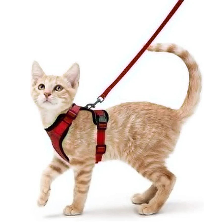 🇫🇷 Harnais pour chat avec laisse – Gilet réglable antidérapage, confortable et sécurisé pour la marche en extérieur 🇬🇧 Cat Harness and Leash – Escape-Proof Adjustable Soft Vest for Safe Outdoor Walks