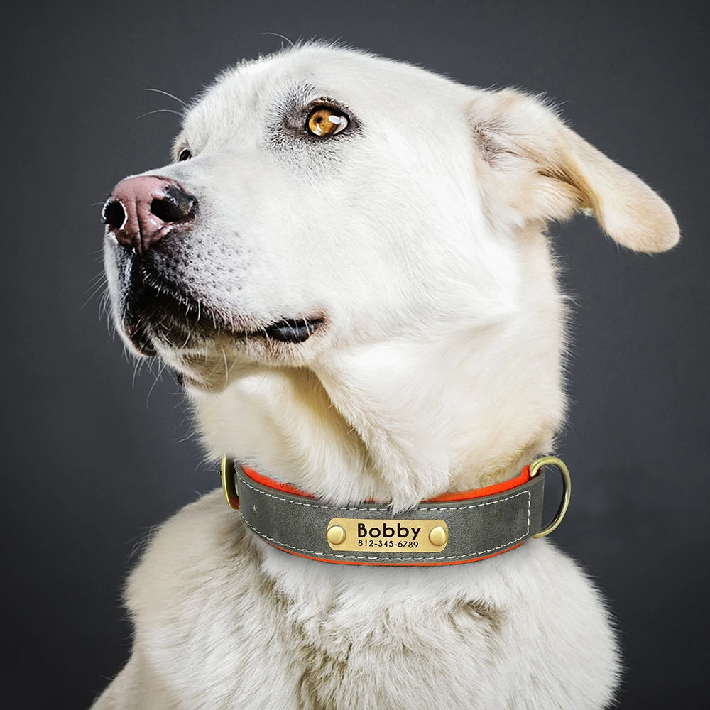 🇫🇷 Collier pour chien en cuir PU personnalisé – Doublure rembourrée, gravure gratuite du nom, réglable pour petits, moyens et grands chiens  🇬🇧 Customized PU Leather Dog Collar – Soft padded, free name engraving, adjustable for small, medium & large dogs