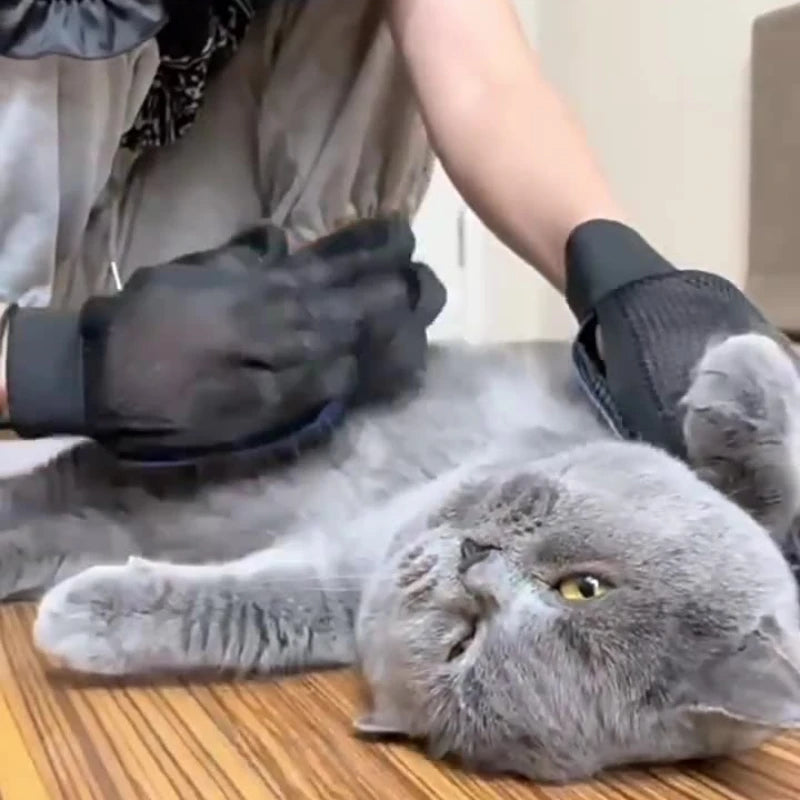 🇫🇷 Gants de toilettage en silicone pour chats et chiens – Brosse & peigne pour retirer les poils, masser et laver vos animaux. 🇬🇧 Silicone pet grooming gloves for cats & dogs – Brush & comb to remove hair, massage & bathe your pets.