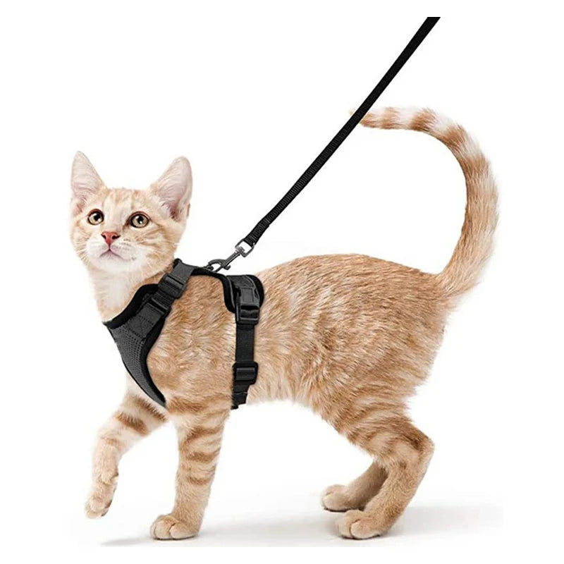 🇫🇷 Harnais pour chat avec laisse – Gilet réglable antidérapage, confortable et sécurisé pour la marche en extérieur 🇬🇧 Cat Harness and Leash – Escape-Proof Adjustable Soft Vest for Safe Outdoor Walks