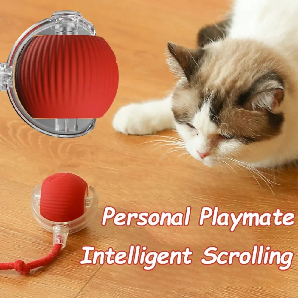🇫🇷 Balle interactive rechargeable pour chat – balle roulante avec fausse queue, jouet intelligent imitant une souris pour stimuler et entraîner votre chat. 🇬🇧 Rechargeable smart cat ball – rolling toy with faux tail, mouse-like play for training & fun.
