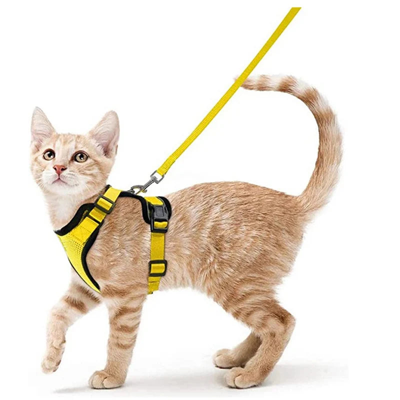 🇫🇷 Harnais pour chat avec laisse – Gilet réglable antidérapage, confortable et sécurisé pour la marche en extérieur 🇬🇧 Cat Harness and Leash – Escape-Proof Adjustable Soft Vest for Safe Outdoor Walks