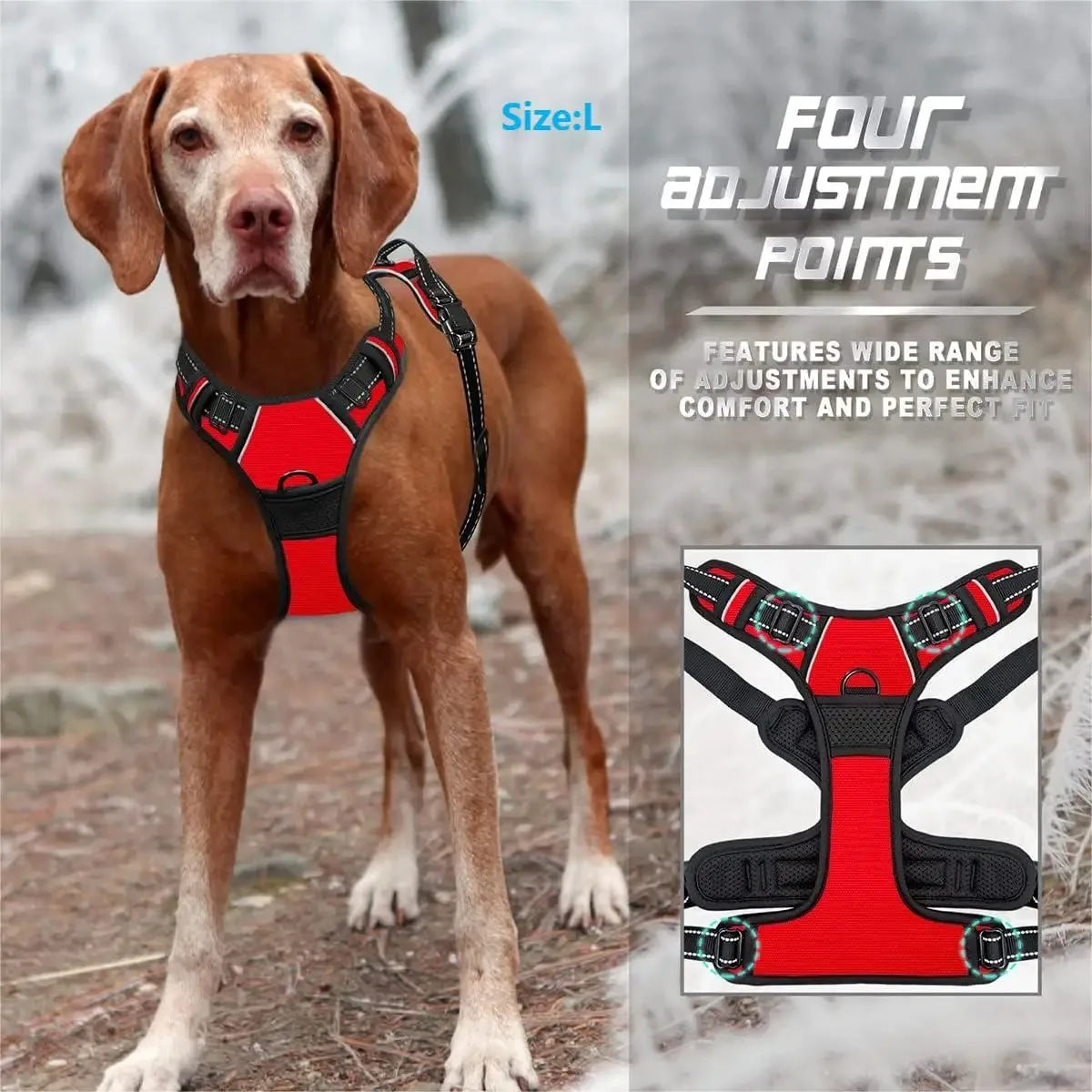 🇫🇷 Colliers, harnais, laisses et accessoires pour chiens – Ensemble cuir pour chiots, petits et moyens chiens. 🇬🇧 Dog collars, harnesses, leashes & accessories – Leather set for puppies, small & medium dogs.