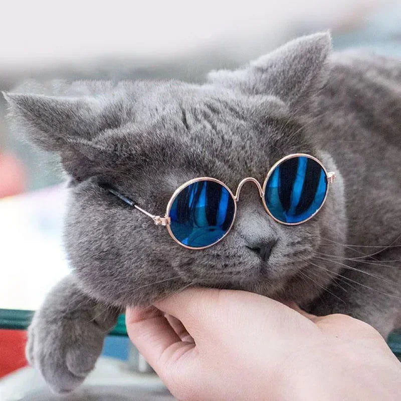 🇫🇷 Français : Lunettes de soleil pour chats et petits chiens – Protection UV, accessoire photo et cosplay  🇬🇧 English : Cat & Small Dog Sunglasses – UV Protection, Cute Cosplay & Photo Prop