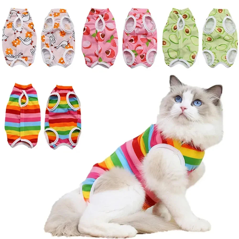 🇫🇷 Combinaison de récupération pour chatte – Body post-stérilisation, anti-léchage, respirant et confortable | 🇬🇧 Cat Surgery Recovery Suit – Female Spay Onesie, Breathable Anti-Licking Clothes for Cats & Kittens
