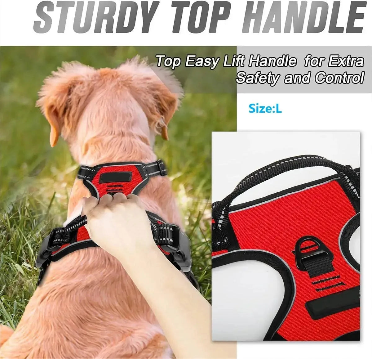 🇫🇷 Colliers, harnais, laisses et accessoires pour chiens – Ensemble cuir pour chiots, petits et moyens chiens. 🇬🇧 Dog collars, harnesses, leashes & accessories – Leather set for puppies, small & medium dogs.