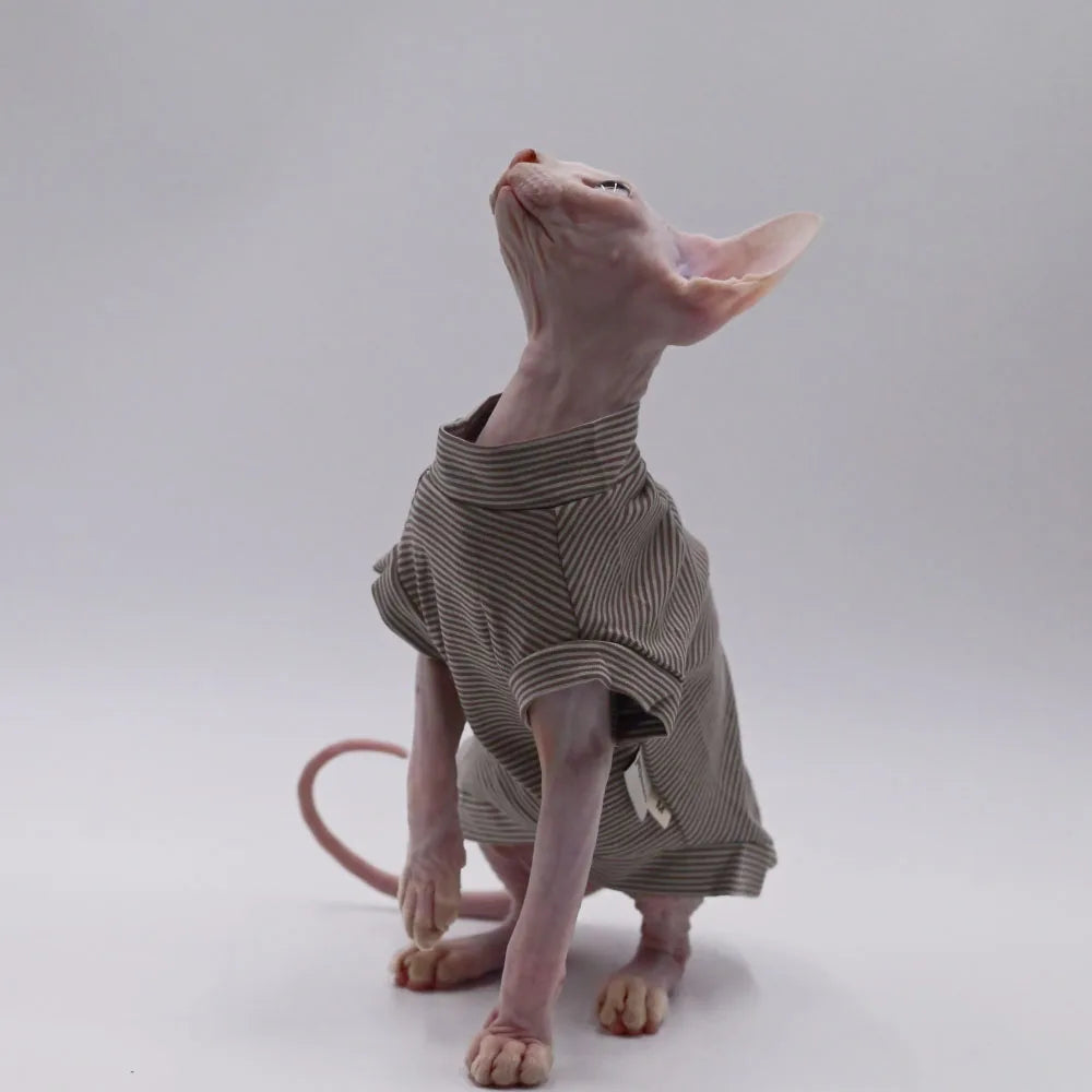🇫🇷 Gilet en Coton pour Chat Sphynx – Rayures Marron, Manches Courtes, Vêtement Doux pour Devon Rex & Chatons (Printemps/Été) | 🇬🇧 Fashion Cotton Vest for Sphynx Cat – Brown Stripes, Short Sleeves Soft Coat for Devon Rex & Kittens (Spring/Summer)
