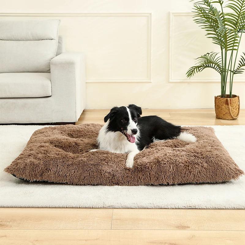 🇫🇷 Lit pour chien ultra doux – Maison en peluche longue, coussin confortable, panier ou canapé pour chiens, chats et petits animaux 🇬🇧 Soft Plush Dog Bed – Cozy House, Cushion or Sofa for Dogs, Cats & Small Pets, Ideal for Rest & Sleep