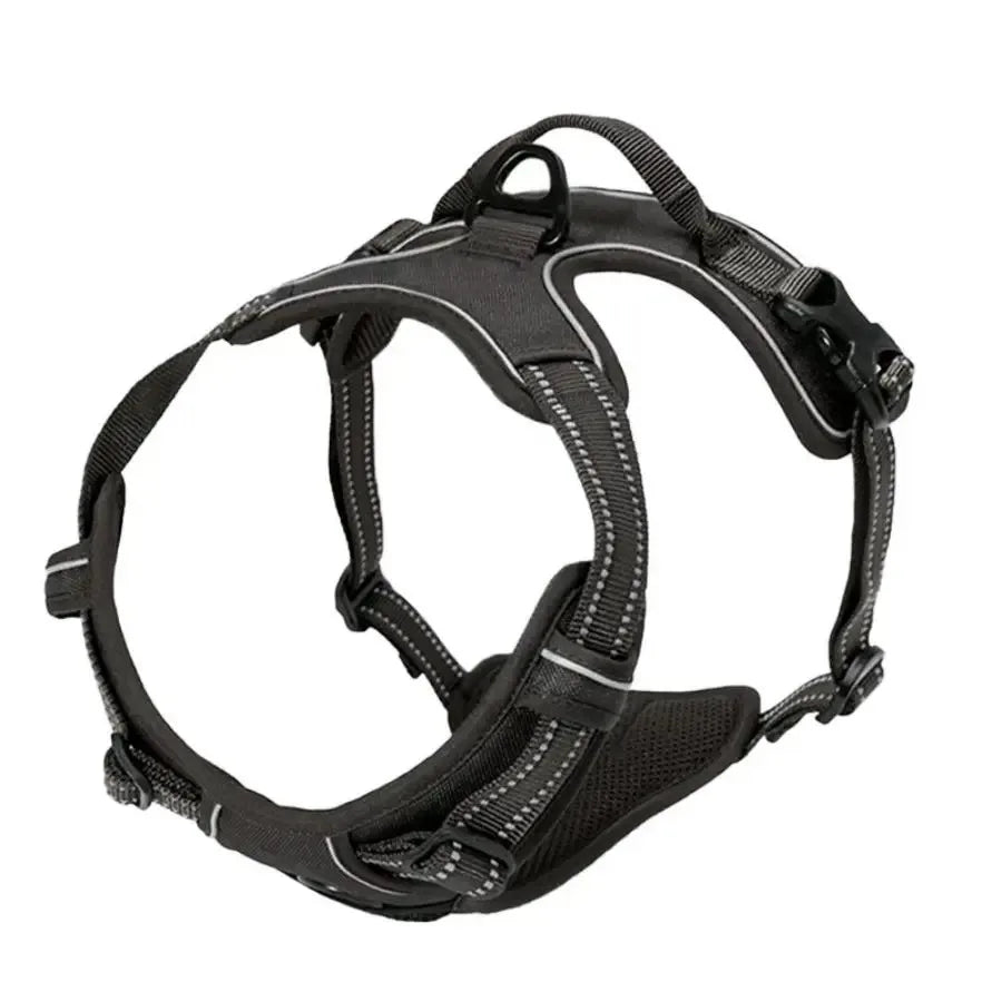 🇫🇷 Colliers, harnais, laisses et accessoires pour chiens – Ensemble cuir pour chiots, petits et moyens chiens. 🇬🇧 Dog collars, harnesses, leashes & accessories – Leather set for puppies, small & medium dogs.